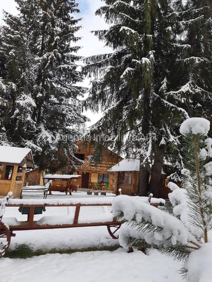 De Vanzare Cabana in   Poiana Negrii cu Clasificare la  Ministerul Turismului - 6