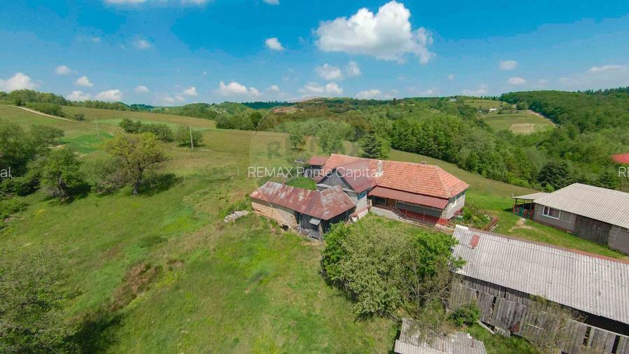 De vânzare casă cu teren și pădure 55706 mp - Șinteu, Valea Târnei - 13
