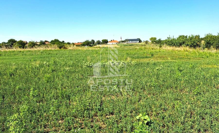 Teren, intrarea in Zadareni - 2