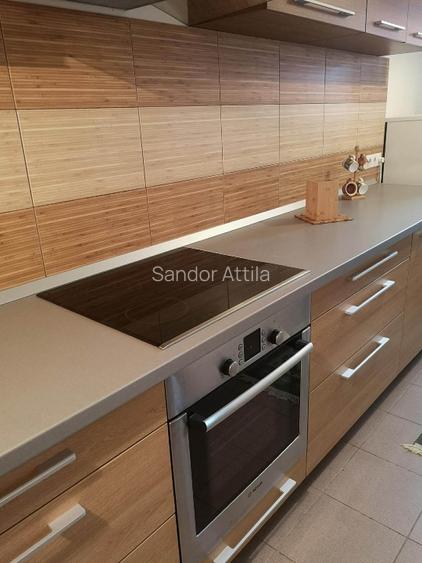 Proprietate exclusivista cu design rafinat si facilitati premium—Sfantu Gheorghe - 13