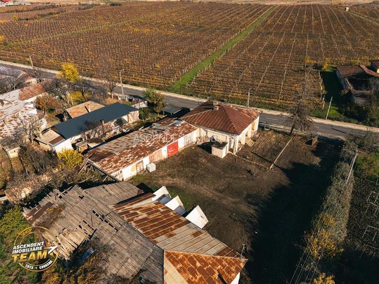 FILM! Domeniu de 4.000 mp intravilan+ casa boiereasca autentica,in podgoriile Od - 11