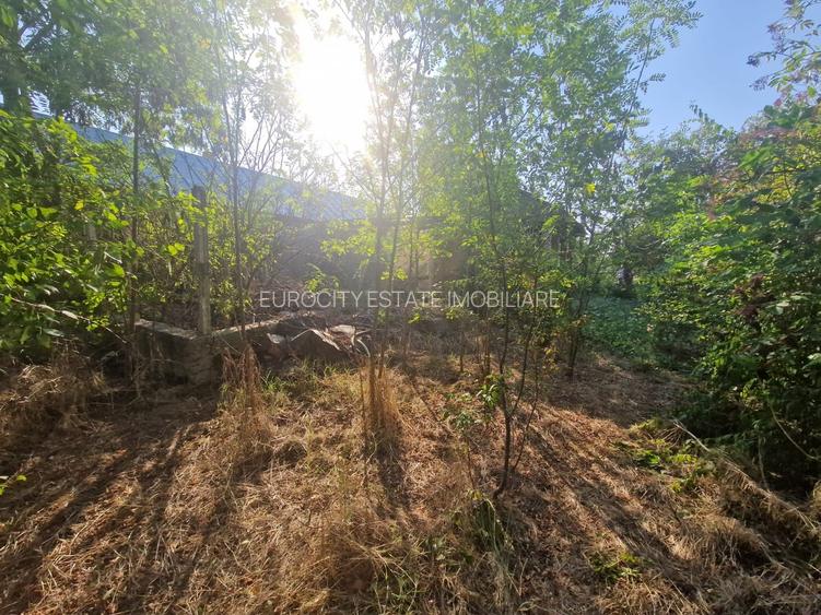 Cornetu stradal, vanzare teren intravilan 1.600mp - 15