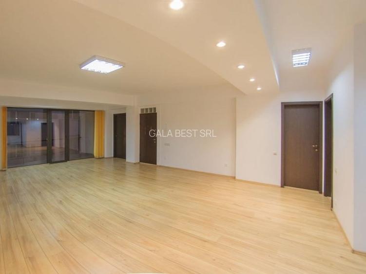 Piata Victoriei/A.I.Cuza-imobil birou ,12 camere,450mp - 5