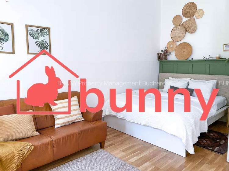 COZY STUDIO ARMENEASCA - 4