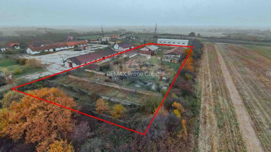 Teren 7500mp și construcții de vânzare, Tilecuș - 8