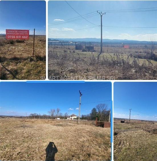 Teren intravilan, Sebis , zona str. Ciutariei. - 3