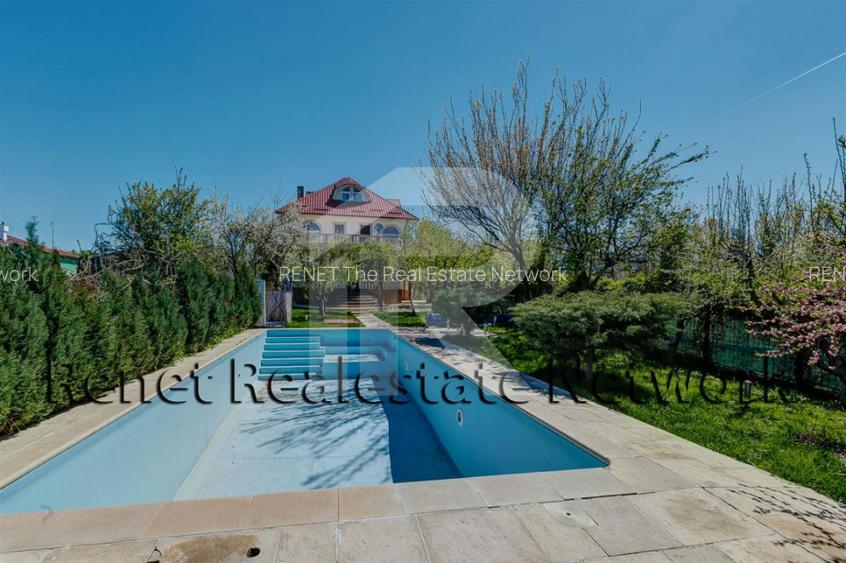 O Poveste de Vis pe Malul Lacului Snagov - 48