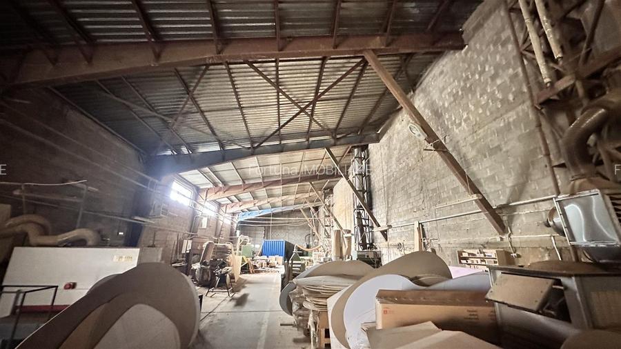 Hale industriale Teliu - 145000e  200.000e  350000e - 8