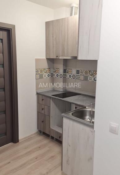STUDIO CU GRADINA PROPRIE, BLOC NOU, CENTRALA PROPRIE, LIBER MUTARE - 5