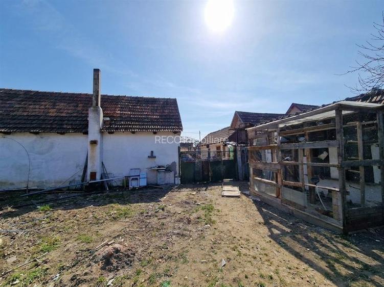 RECO Teren mare cu 2 case in Sabolciu, com. Sacadat - 15