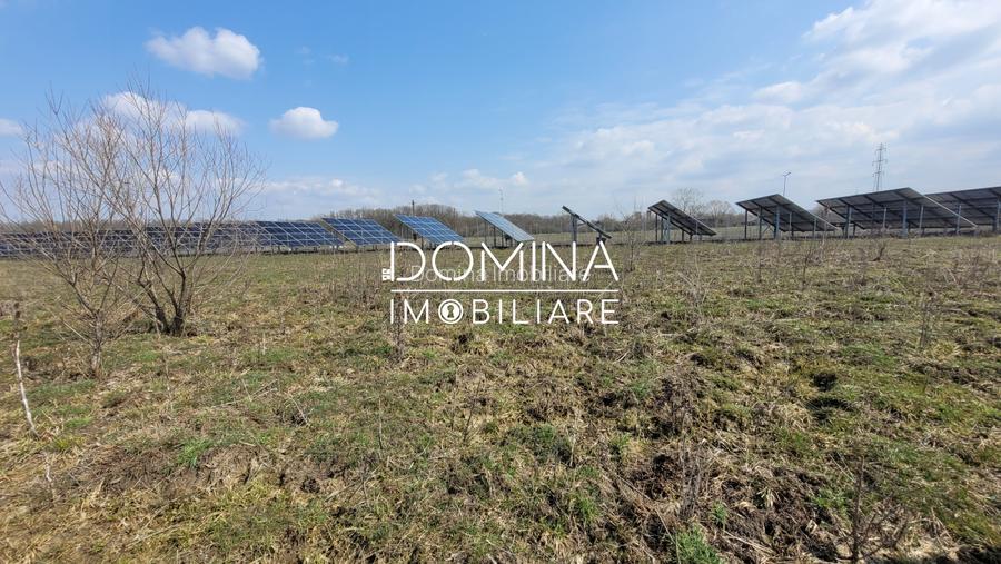 Vanzare teren intravilan, 978 mp, comuna Dragutesti, sat Urechesti - 4