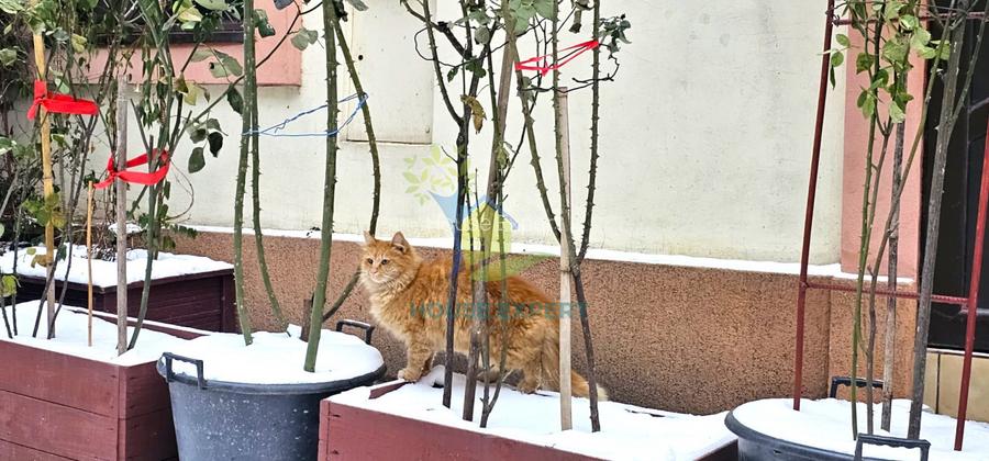 Apt 2 camere, 2 boxe mari, in Centru Vechi - 8