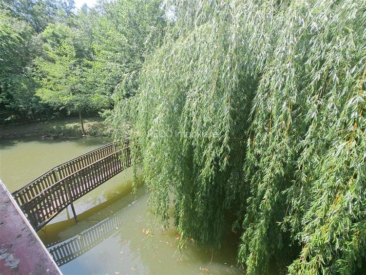 Cabana pe apa in Padurea Neagra - 13