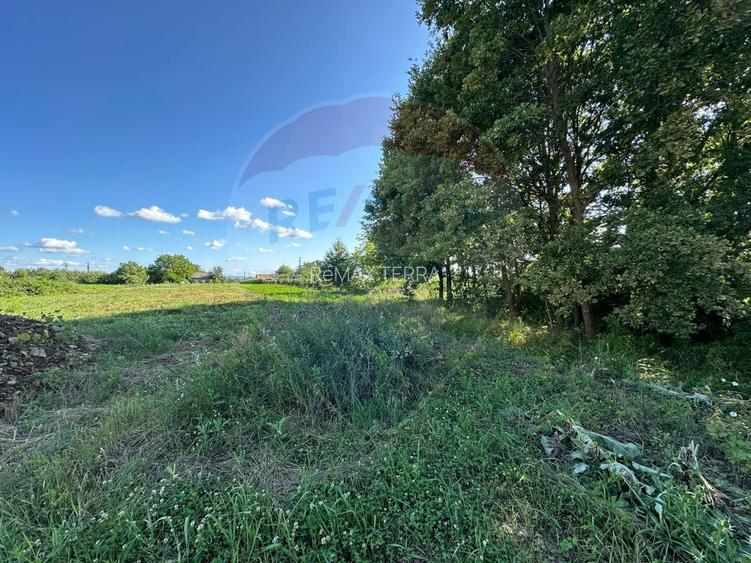 TEREN pentru "ACASA "- Bozanta Mica - 5
