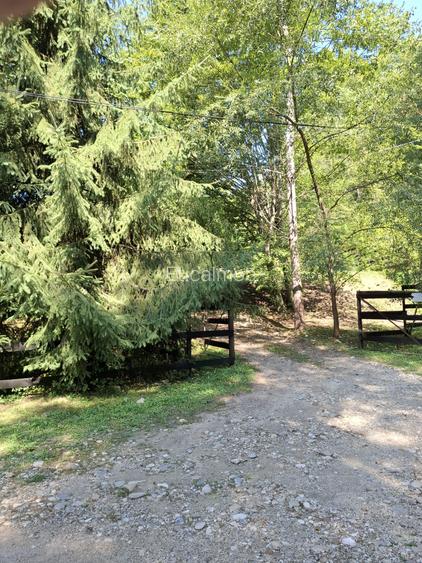 Pensiune agroturistică lângă București | Business funcțional | Iedera de Sus, DB - 16