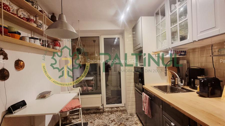 Apartament 2 camere cu balcon, renovat complet, Terezian - 8