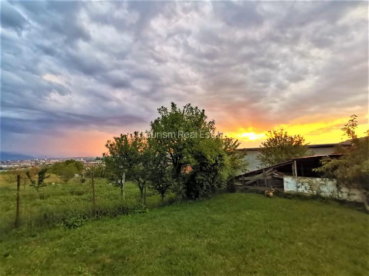 Casa Individuala Gusterita - 2