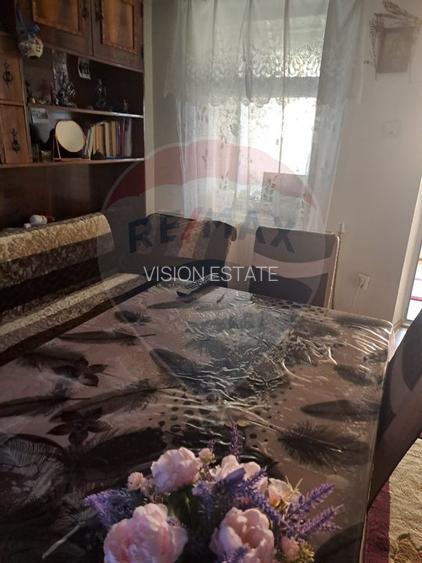 Casa / Vila cu 6 camere de vanzare in zona Sud - 10