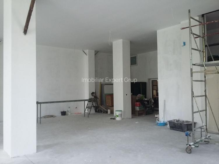 Theodor Pallady  300 mp - 2