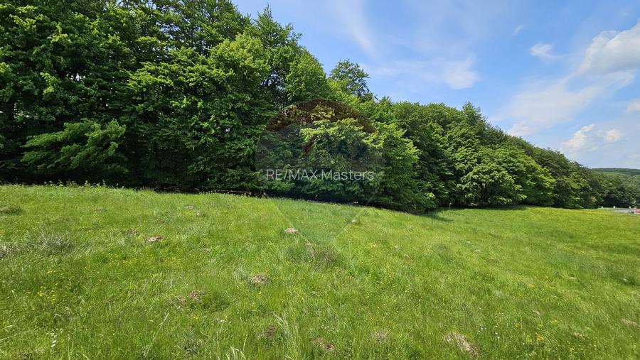 Teren Ilisesti  7000mp extravilan/ DN 17, Suceava - 24