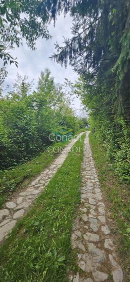 Teren Breaza  800mp pe colina priveliste superba - 20