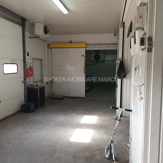 Depozit 600mp Techirghiol - 14