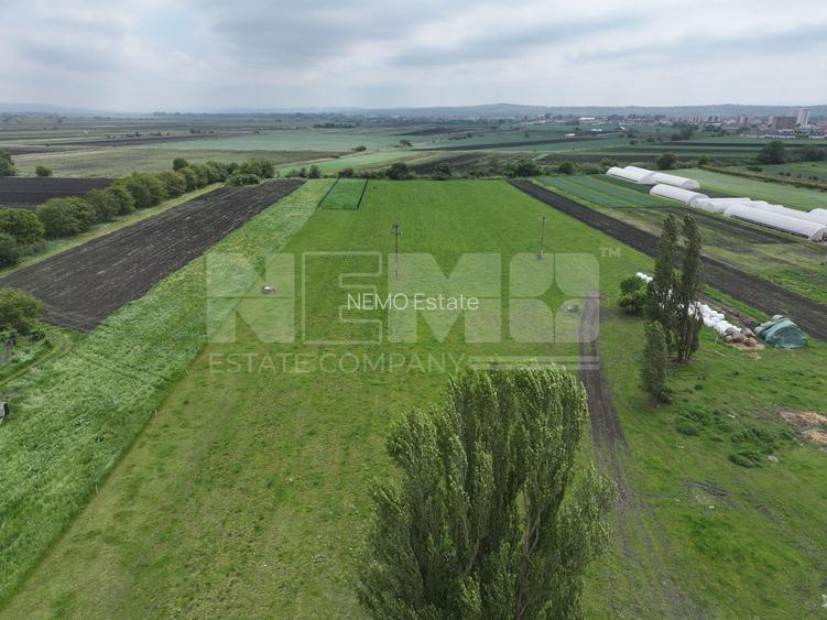 Teren 2648 mp | Strada Francei | Ideal hale sau investitie - 7