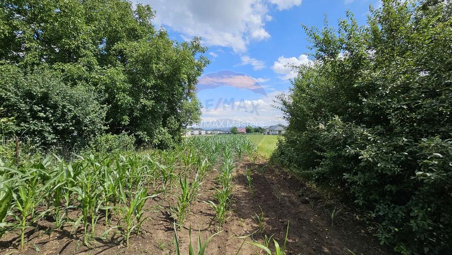 Casă / Vilă, teren 1700mp,  în Lisaura-Ipotești, Suceava - 40