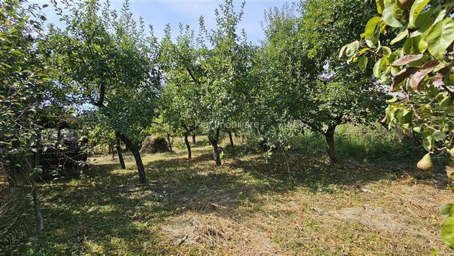 Casa individuala+anexe SU-290mp, teren 2000mp, Zimbor-nod Autostrada - 20