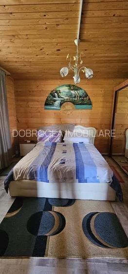 HORIA - 3 CAMERE ,SUPRAFATA 100 MP,TEREN 3000 MP CU DESCHIDERE LA LAC - 8