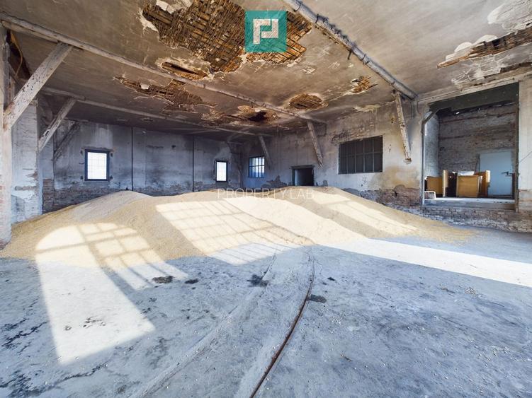 Teren și hale pe Calea Aradului din Periam - 10