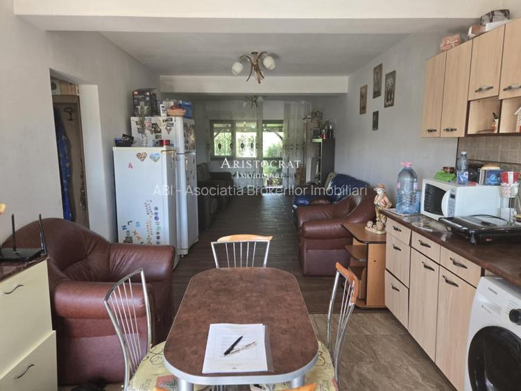 Duplex pe parter Tamasi padure - 3