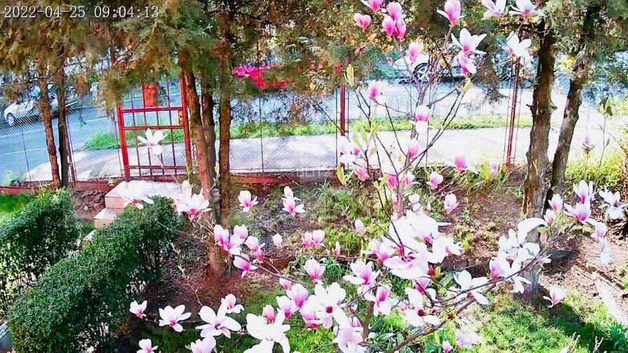 Casa individuala, 130mp utili, 434 teren, garaj, Zorilor! - 6