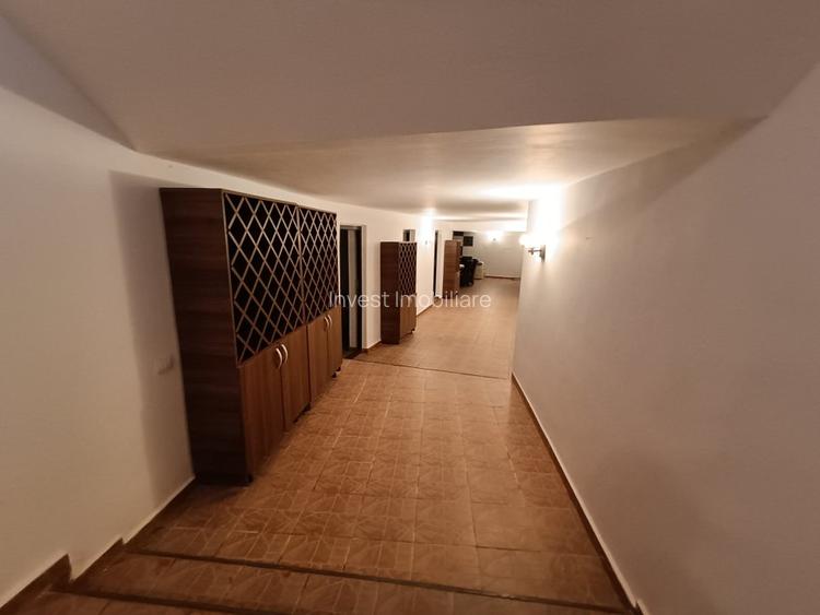 Proprietate Unica de Vanzare in Visani, Iasi – Resedinta si Investitie Turistica - 7