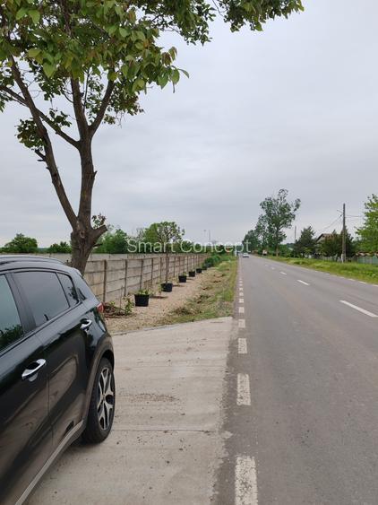 Casă + teren 4200 mp, vie, curent, fosa, anexă – Crevedia Mare, Giurgiu - 9