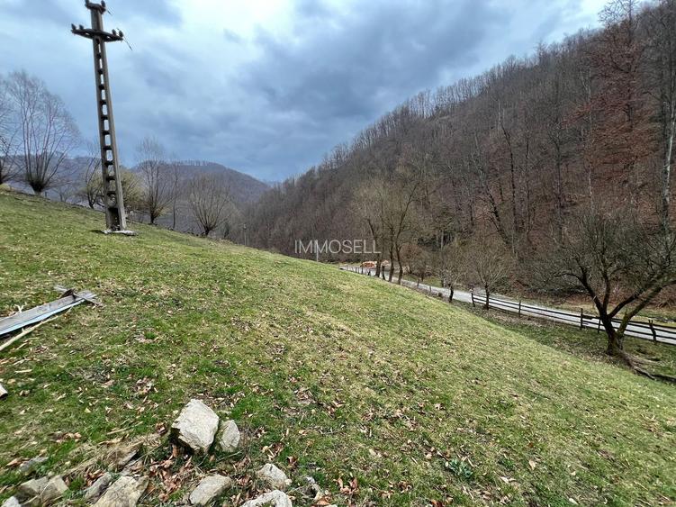 Teren intravilan 1.28ha Remeti–perfect pensiune/cabane, zonă turistica - 8