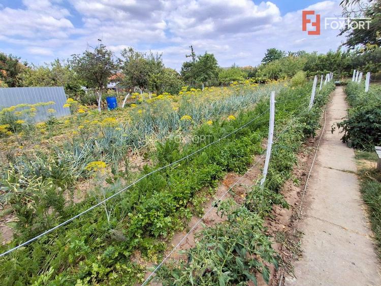 COMISION 0% - Casa individuala cu teren 1259 mp - Recas - 20