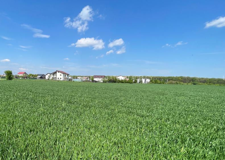 De vanzare teren construibil 1100mp - Cartierul nou langa padure, Moara Vlasiei  - 2