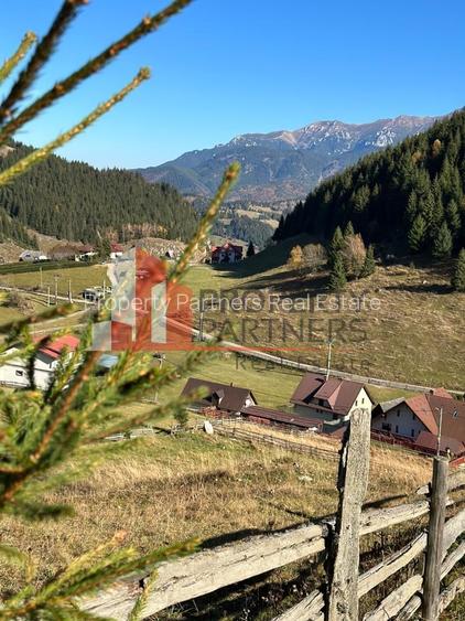 Teren Fundatica intravilan 4500 mp - 7