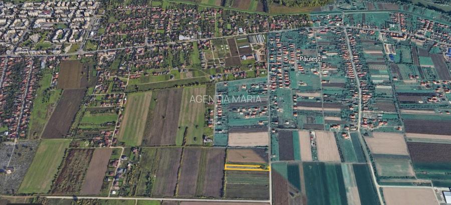 Teren intravilan in Paulesti 2700 mp 33000 Euro - 4