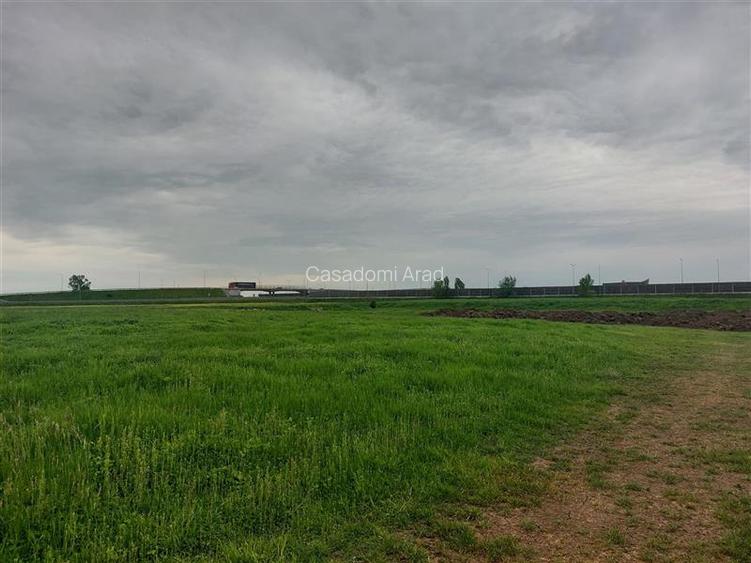 Teren intravilan langa autostrada, Aradul Nou - 5