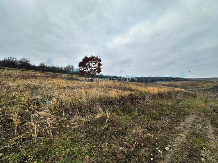 Teren intravilan de vanzare pentru dezvoltare imobiliara, Saldabagiu de Munte - 5