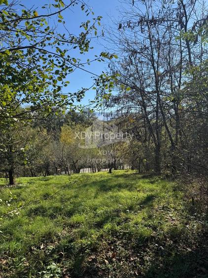 Teren in zona turistica Porumbacu de Sus - 5