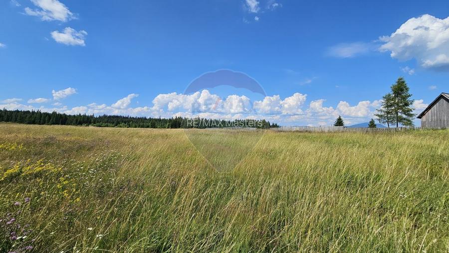 Teren parțial intravilan 30,930 mp Poiana Stampei-DN E58, Suceava - 16