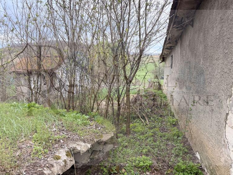 Comision 0! | Casă + teren generos | 2600 m² | Oportunitate unică - Faureni - 30