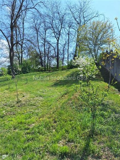 TEREN DE INCHIRIAT  500 MP  Calea Marasesti - 3