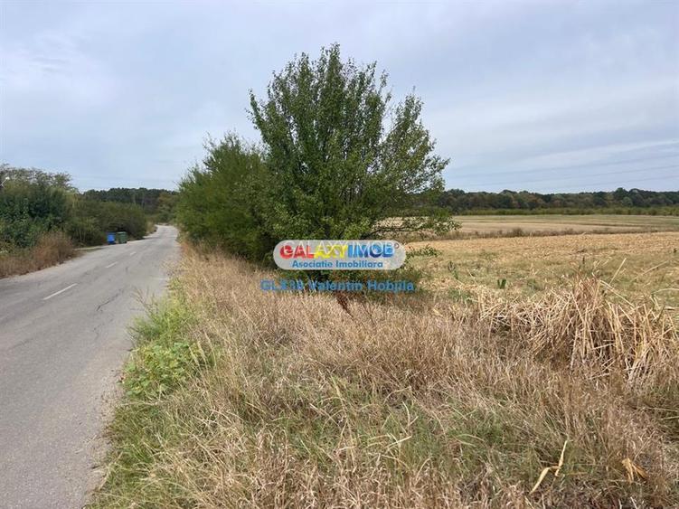 Vanzare teren 3300 mp Peris -deschidere padurea Scrovistea - 4