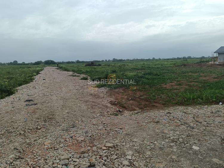 Lot de teren in Frumusani, Ilfov, 590 mp. Posibilitate rate - 3