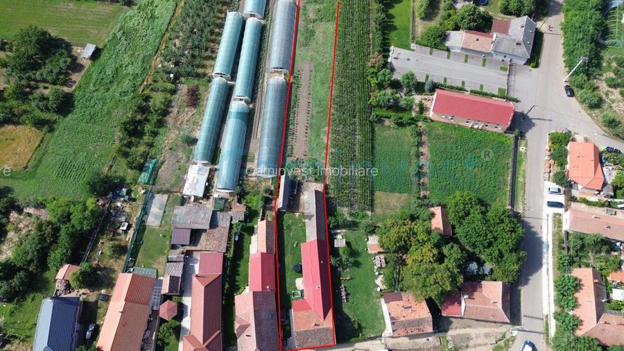 Casa cu 3 camere 115mp de vanzare in Biharia, Bihor - 3