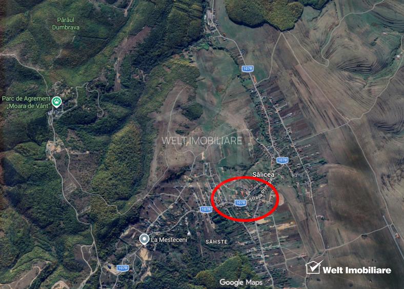 Salicea – teren intravilan 920 mp, front 28 m la doua strazi, utilitati - 2